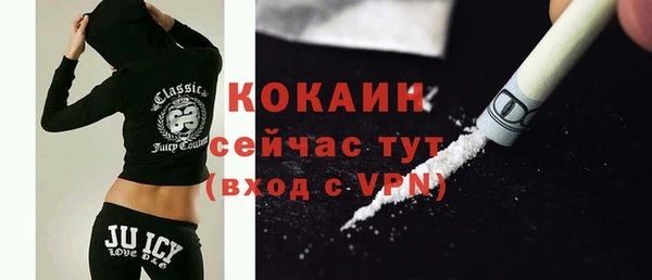 ALPHA PVP Богородицк