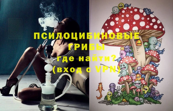 ALPHA PVP Богородицк