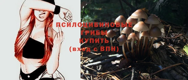 mdpv Бронницы