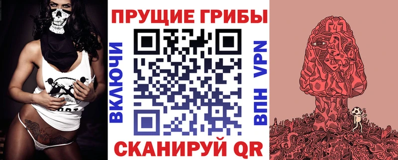 закладки Верхний Тагил Галлюциногенные грибы Cubensis